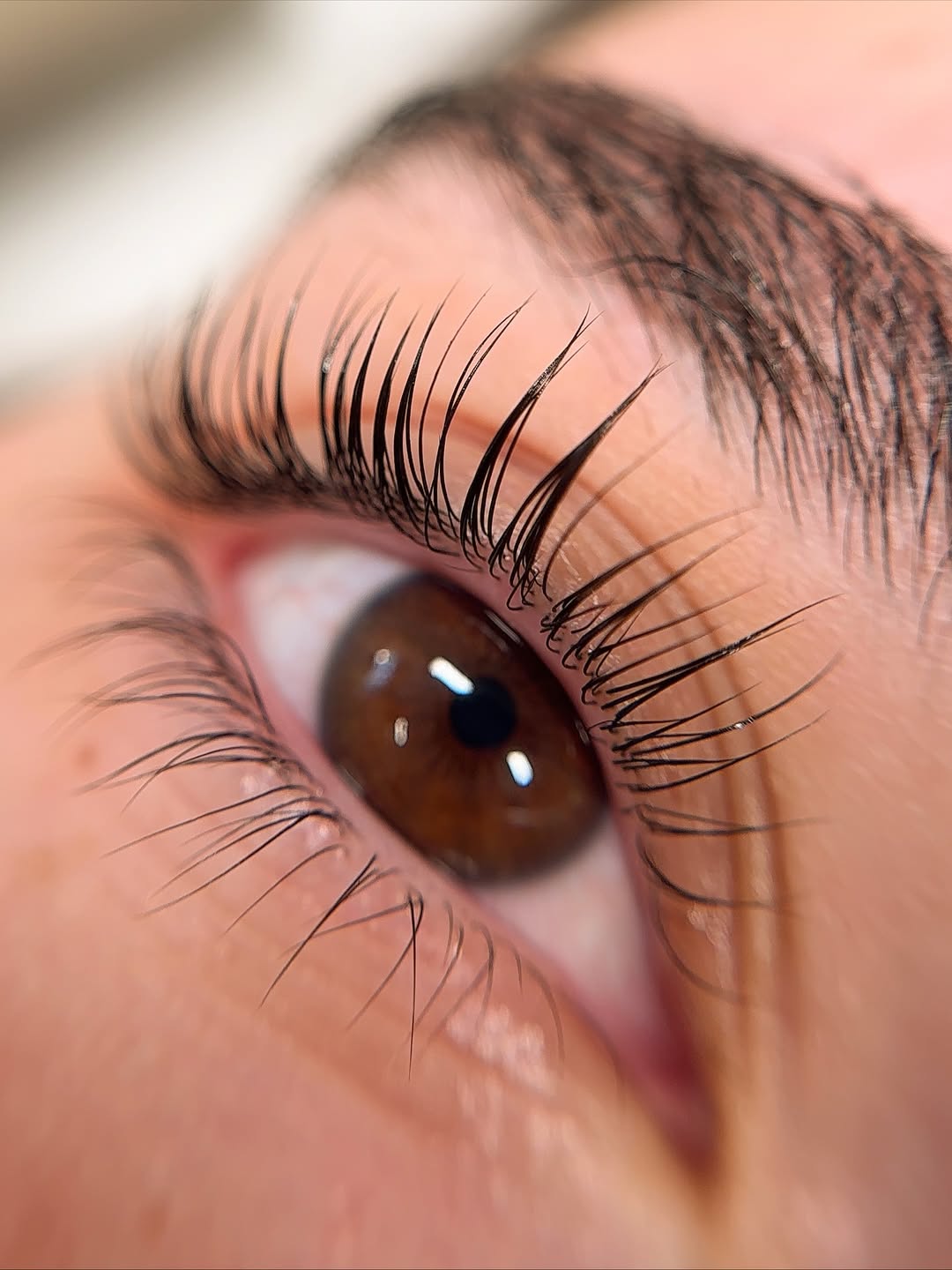 Lash Lift