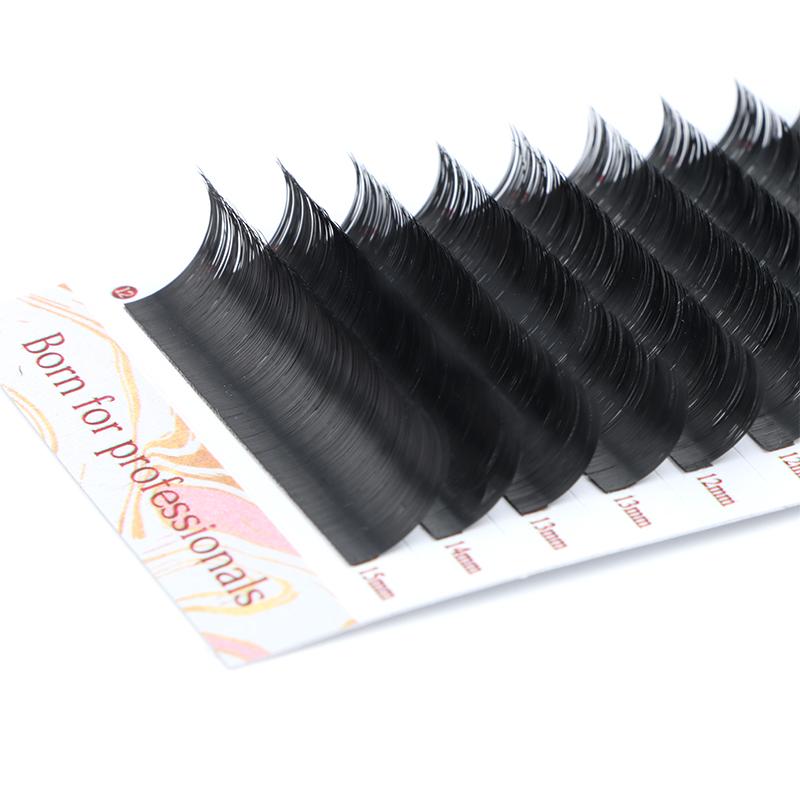 Ellipse Flat Lashes - DreamFlowerLashes®