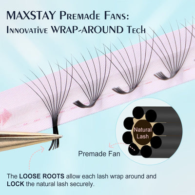 MaxStay 8D Premade Fans Volume Lashes - DreamFlowerLashes®