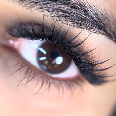 Premade Spike Lash Extensions for Wispy Set - DreamFlowerLashes®