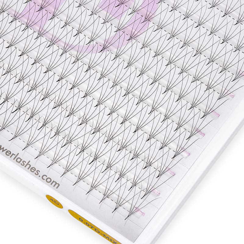 4D Large Tray 320 Fans 0.07mm Pointy Base Premade Volume Fans - DreamFlowerLashes®