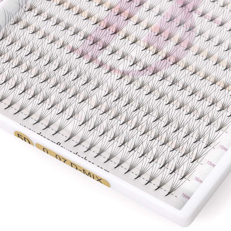 5D Large Tray 320 Fans Pointy Base Premade Volume Fans - Dreamflowerlashes®