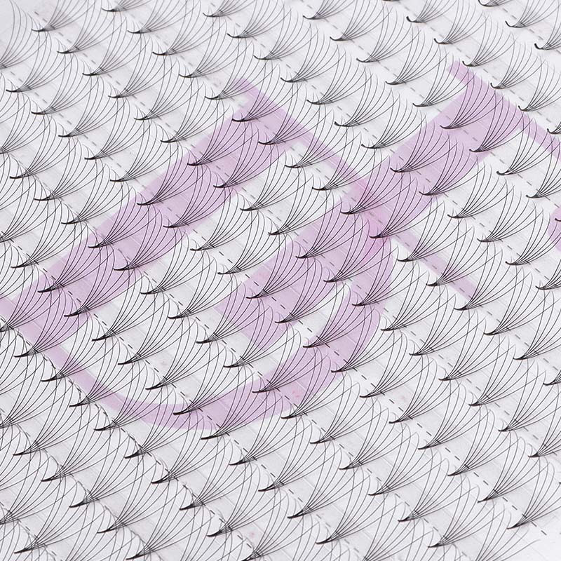 6D Large Tray 352 Fans 0.07mm Pointy Base Premade Volume Fans - DreamFlowerLashes®