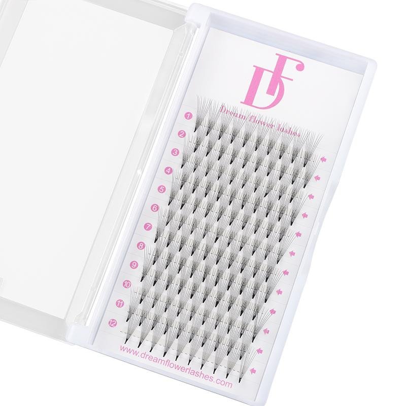 6D Pointy Base 0.07mm Premade Volume Fans - Dreamflowerlashes®