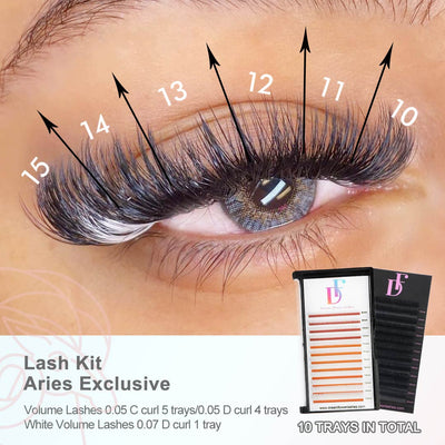 Aries Exclusive Lash Kit for Eyelash Extensions - DreamFlowerLashes®