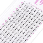 Favor-5D Wispy Premade Fans - DreamFlowerLashes®