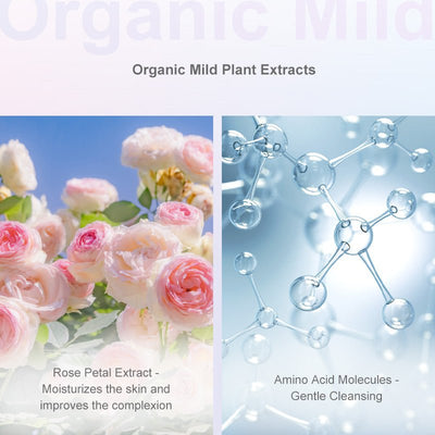 Rose Amino Acid Shampoo for Lash Extensions - Dreamflowerlashes®