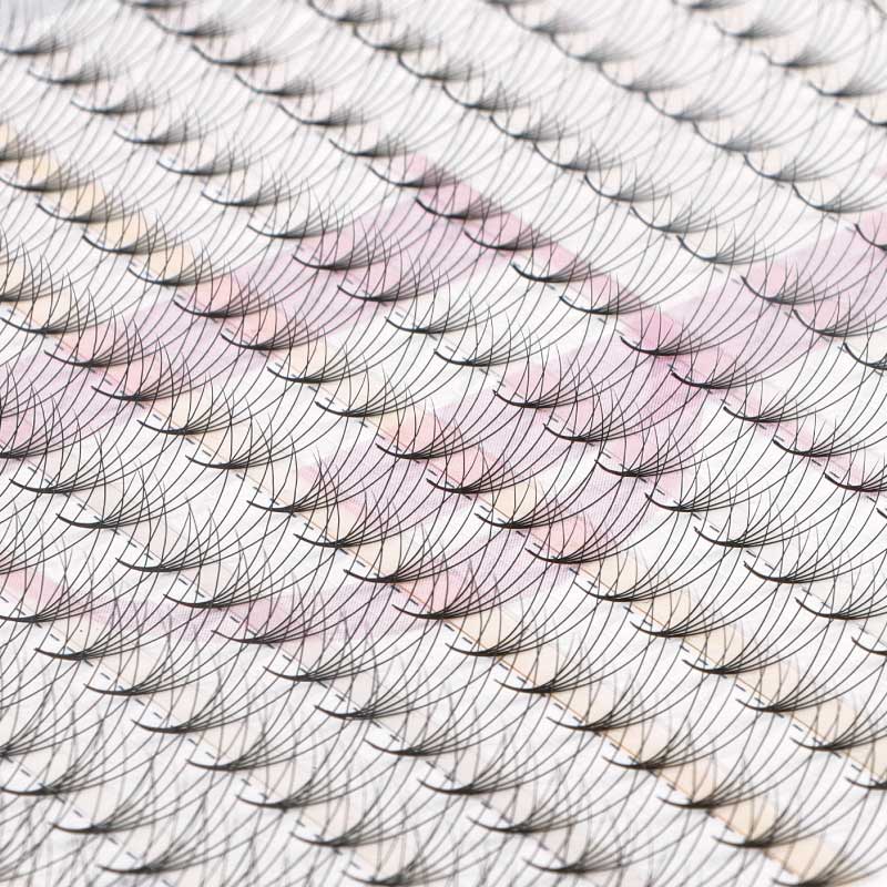 WHOLESALE 5D Large Tray 352 Fans 0.07mm Pointy Base Premade Volume Fans - DreamFlowerLashes®