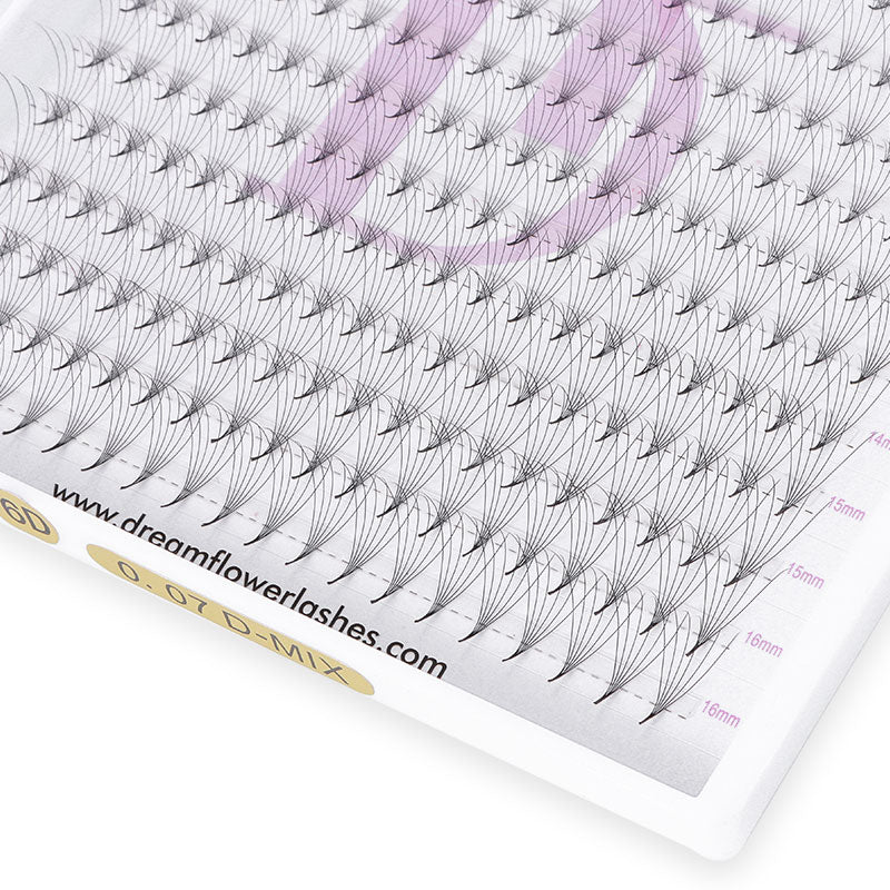 WHOLESALE 6D Large Tray 352 Fans 0.07mm Pointy Base Premade Volume Fans - DreamFlowerLashes®