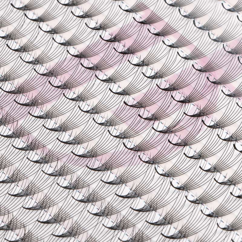 WHOLESALE 8D Large Tray 320 Fans 0.07mm Pointy Base Premade Volume Fans - DreamFlowerLashes®